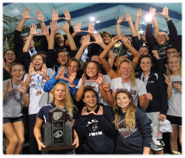 美国密棕榈公立高中