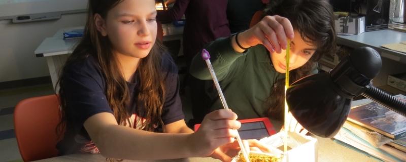 The Wardlaw-­‐Hartridge School -0006.jpg The Wardlaw-­‐Hartridge School -0006.jpg