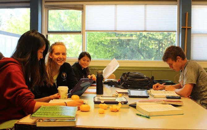 12 (1).png 12 (1).png