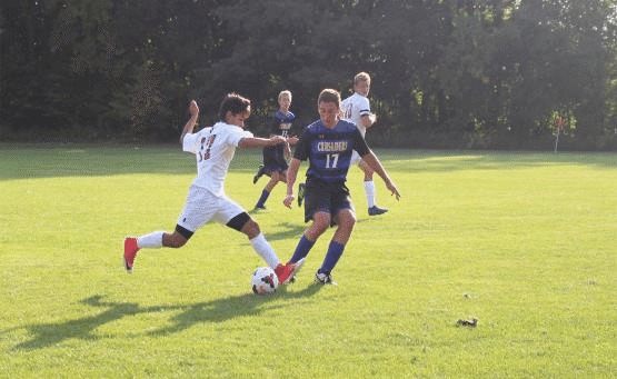 31 (1).png 31 (1).png