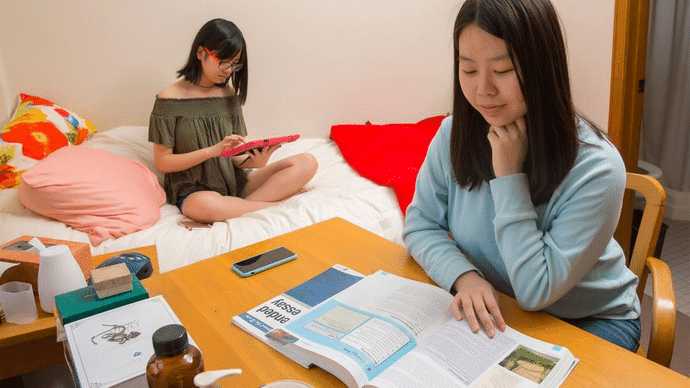 图片 (1).png 图片 (1).png