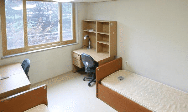 19 (1).png 19 (1).png