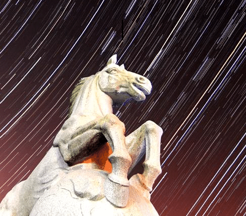 21 (1).png 21 (1).png