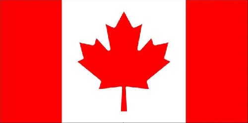 7.webp.jpg 7.webp.jpg