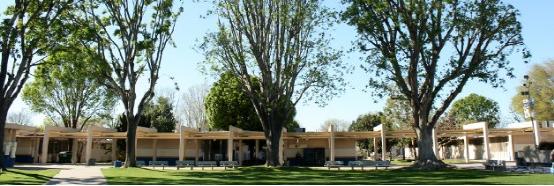 伯明翰特许社区中学