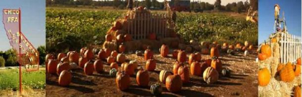 奇科高中Chico High School